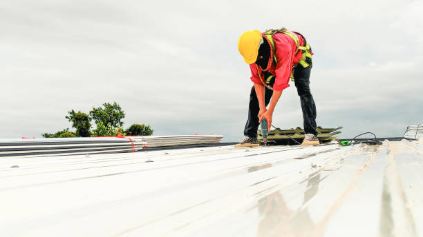 Best Gutter Installation and Repair  in Horn Lake, MS