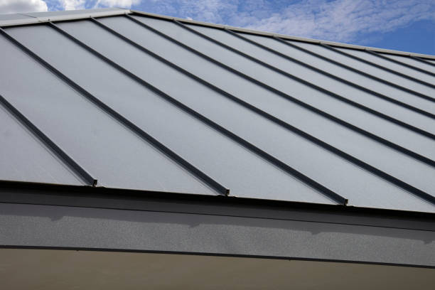 Best Roof Maintenance and Cleaning  in Horn Lake, MS